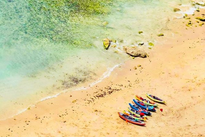 Lisbon Kayak Tour (Transfer & Lunch) - Getting on the Kayaks: Prep, Instructions, and Snorkel Options