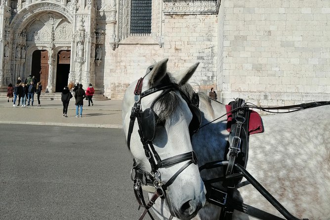 Lisbon Layover - Praca Dom Pedro IV: The Central Square Moment