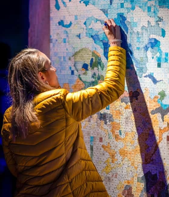 Lisbon: Living Van Gogh Exhibition Ticket - Price and value: what $14 buys you