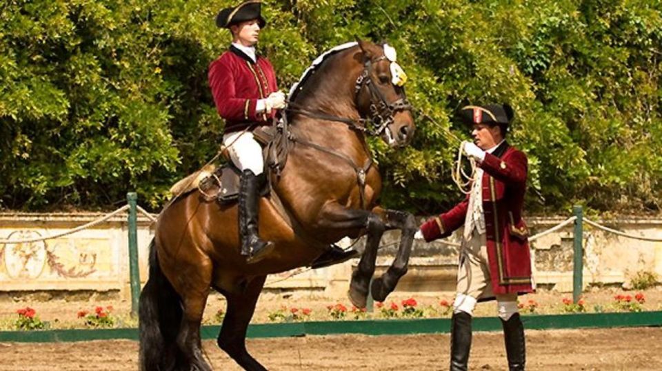 Lisbon: Morning of Equestrian Art with Lusitano Horses - Key things you’ll notice right away