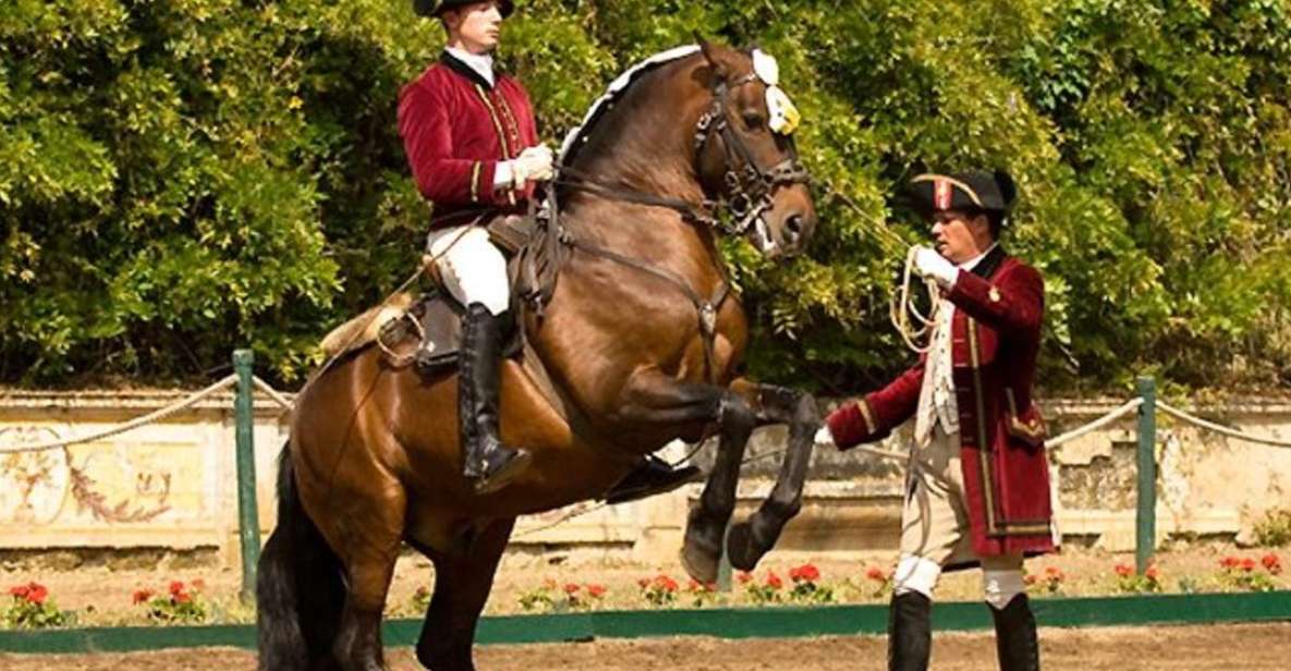 Lisbon: Morning of Equestrian Art with Lusitano Horses - Lisbon’s Lusitano morning: what makes it different