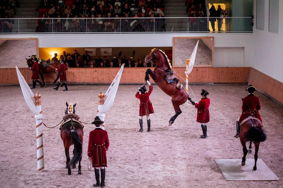 Lisbon: Morning of Equestrian Art with Lusitano Horses - Henrique Calado Riding Ring: where resourcefulness training comes to life
