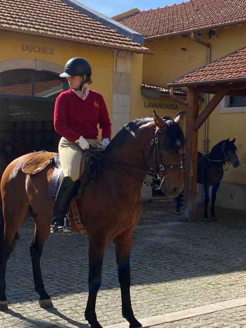 Lisbon: Morning of Equestrian Art with Lusitano Horses - Alter Real Stud Farm connection: why the training feels specific, not generic