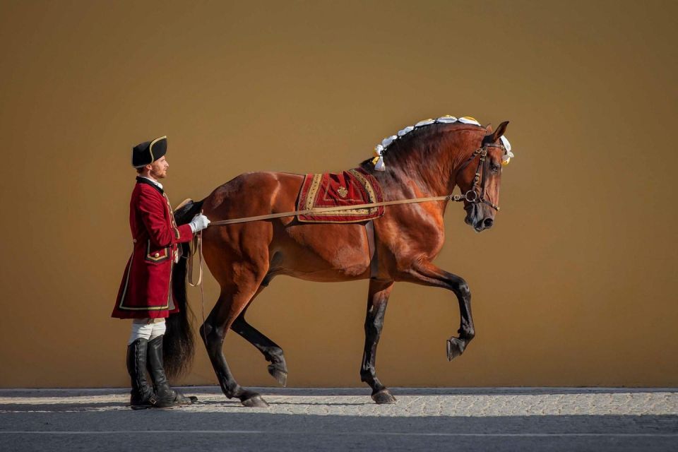 Lisbon: Morning of Equestrian Art with Lusitano Horses - What to bring (so the morning stays comfortable)