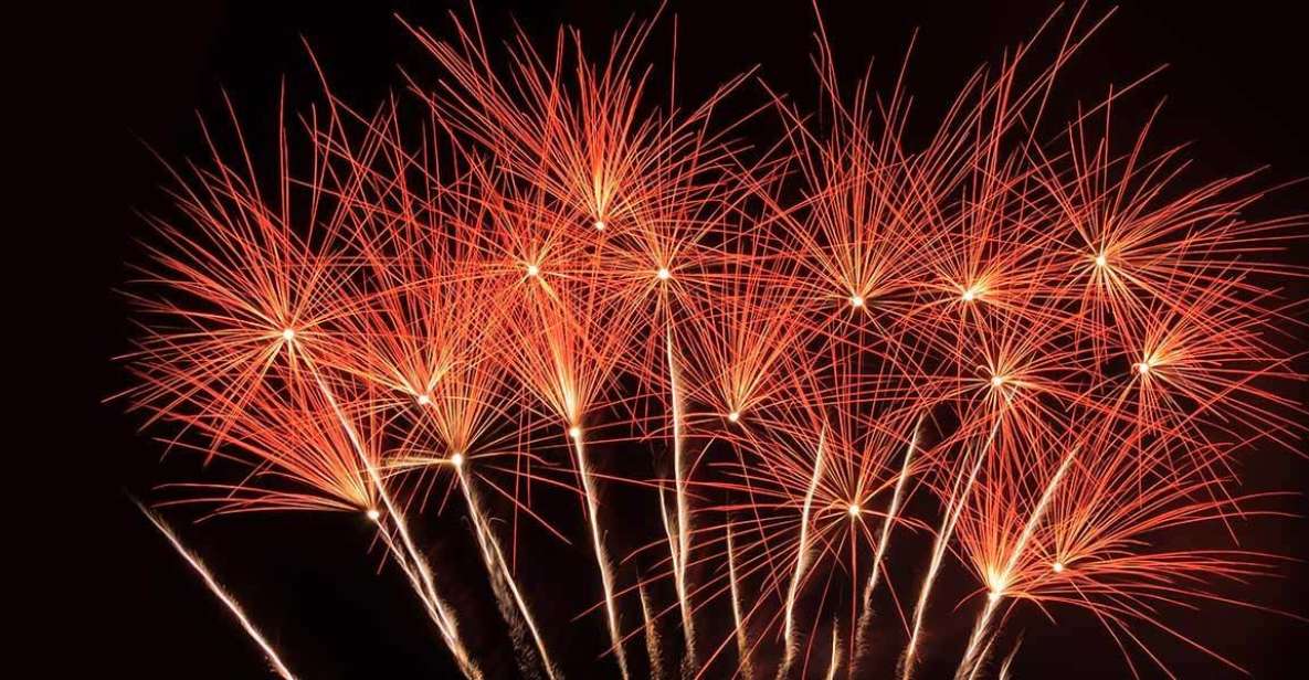 Lisbon: New Year's Eve Tagus River Cruise with Open Bar - The Big Moment at Terreiro do Paço: Fireworks, Up Close