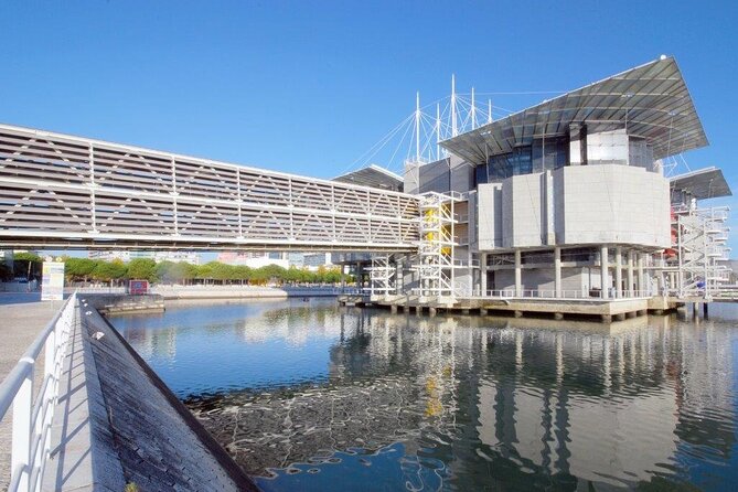 Lisbon Oceanario: Aquarium Entrance Ticket - Tickets and timing: when prebooking saves you more than money