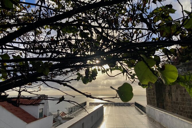 Lisbon Off The Beaten Track and Main Sights Private Walking Tour - St. Anthony’s Church and the 1755 Rebuild Story