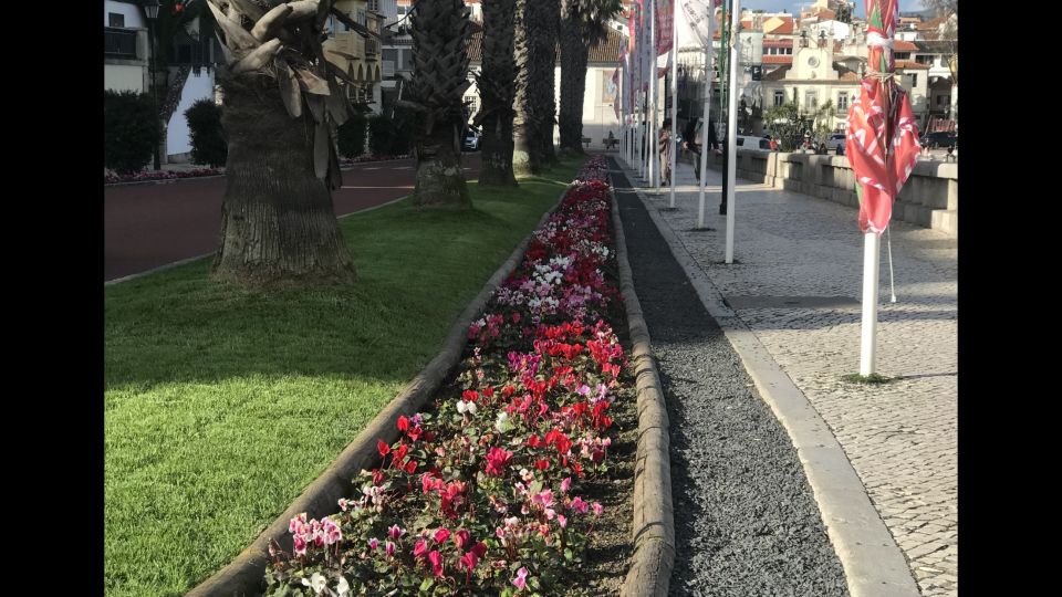 Lisbon: Pena Palace, Sintra, Cascais, and Cabo Roca Day Trip - Sintra on Your Own: Cobblestone Lanes and Smart Shopping Time
