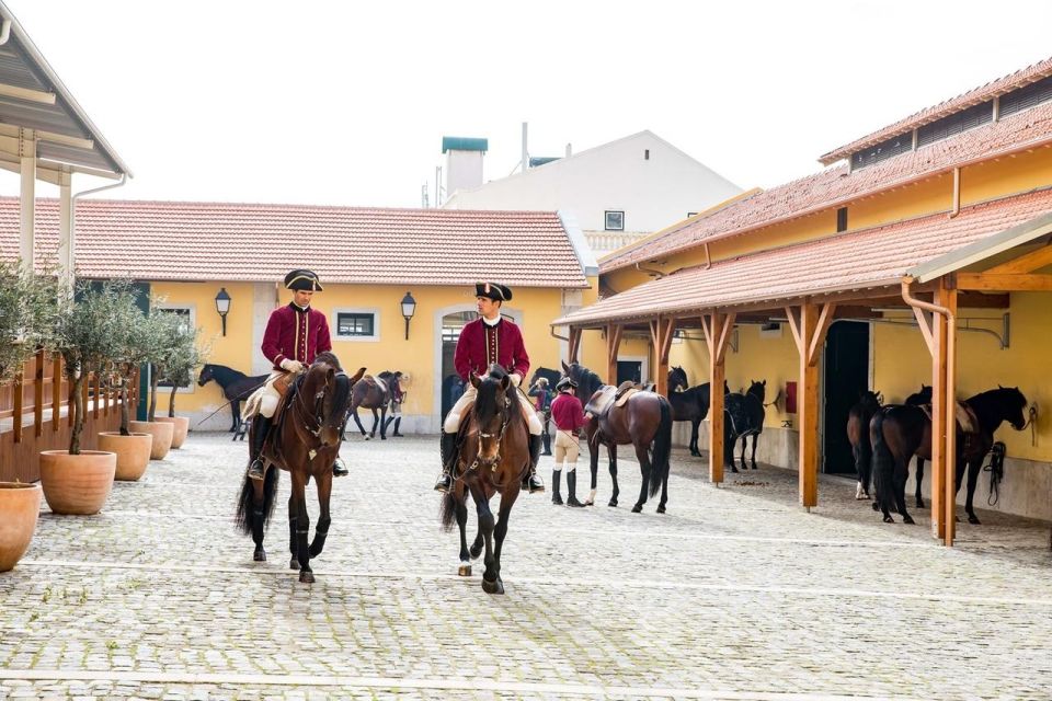 Lisbon: Portuguese Riding School Trainig with Lusitano Horse - Key highlights worth planning around