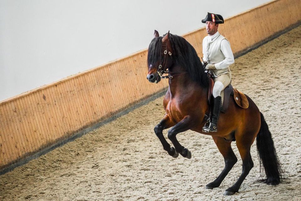 Lisbon: Portuguese Riding School Trainig with Lusitano Horse - Portuguese School training as a morning, not a show