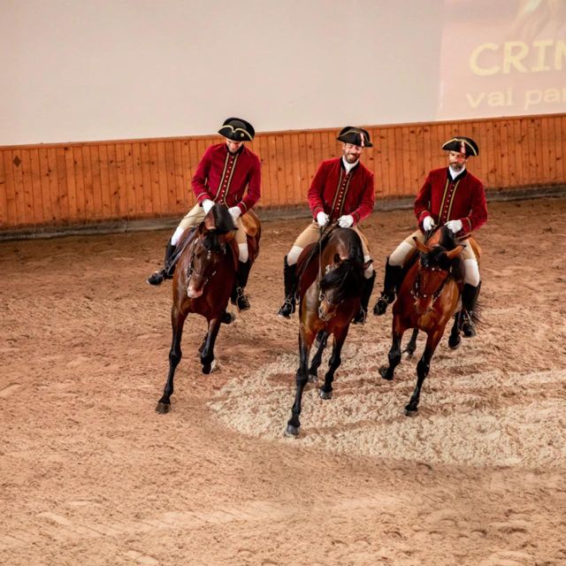 Lisbon: Portuguese Riding School Trainig with Lusitano Horse - The Lusitano horses: Alter Real Stud Farm connection