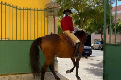 Lisbon: Portuguese Riding School Trainig with Lusitano Horse - Where you’ll spend your time: Henrique Calado Riding Ring and the Nora Patio