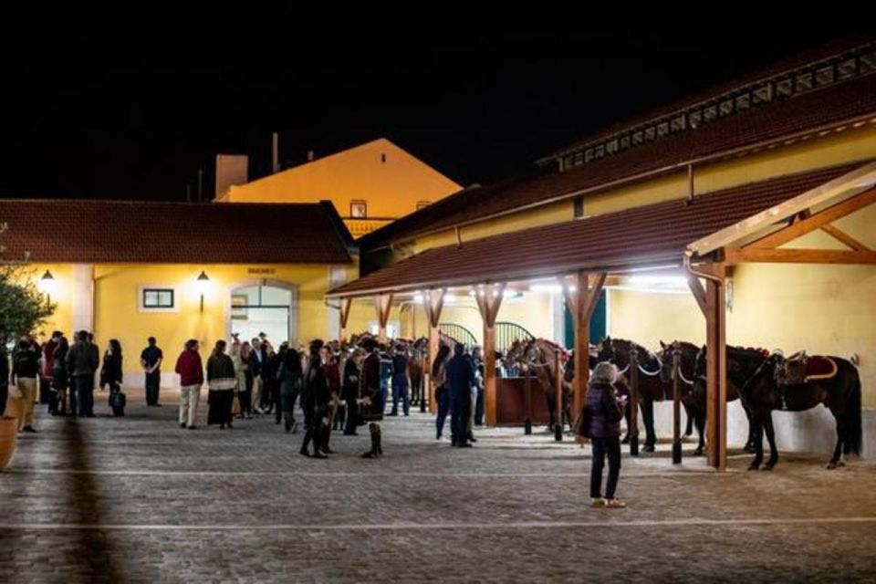 Lisbon: Portuguese Riding School Trainig with Lusitano Horse - The warm-up and resourcefulness exercises you should not rush past