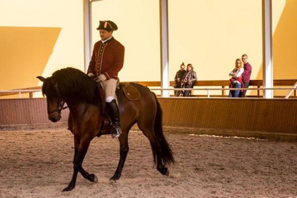 Lisbon: Portuguese Riding School Trainig with Lusitano Horse - Equestrian Art rehearsals in period music and choreographed flow