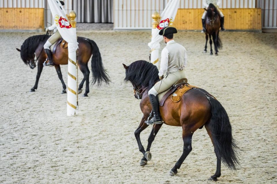 Lisbon: Portuguese Riding School Trainig with Lusitano Horse - Audio guide and what to bring so it actually works