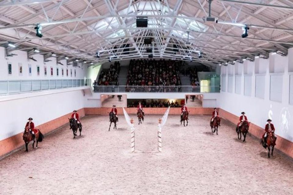 Lisbon: Portuguese Riding School Trainig with Lusitano Horse - Price and value: why this $17 session can feel like more