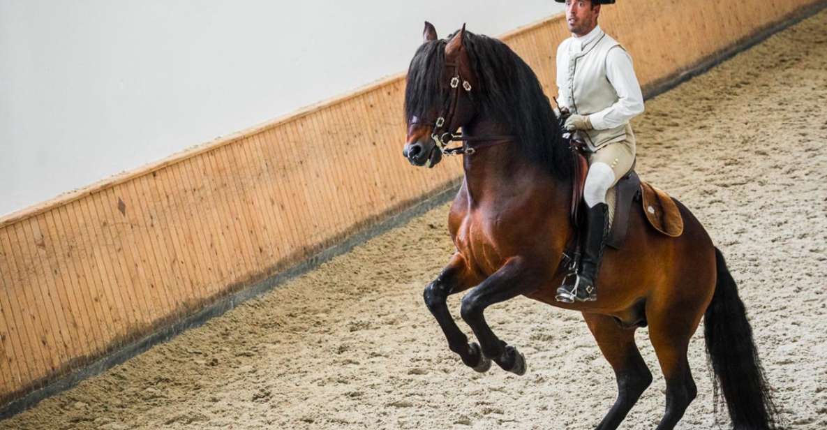 Lisbon: Portuguese Riding School Trainig with Lusitano Horse - Logistics that trip people up: ticket type and meeting point