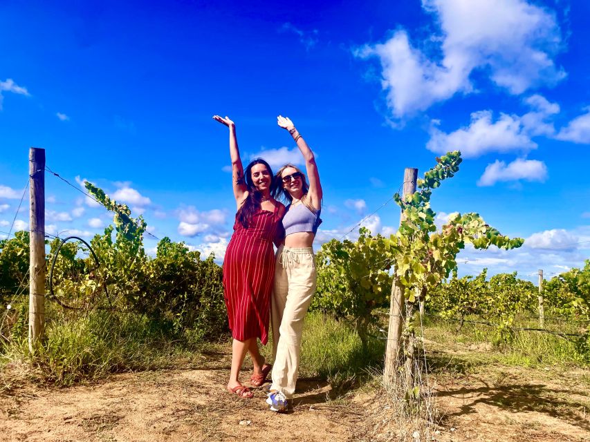 Lisbon: Private All Inclusive Setúbal & Arrábida Wine Tour - Key things to know before you go