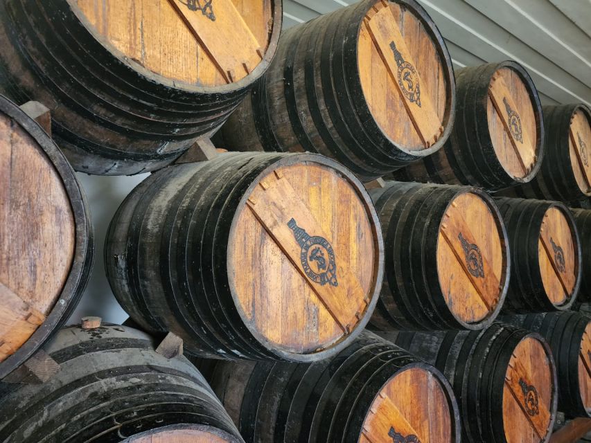 Lisbon: Private All Inclusive Setúbal & Arrábida Wine Tour - Why Setúbal and Arrábida fit perfectly in a Lisbon itinerary