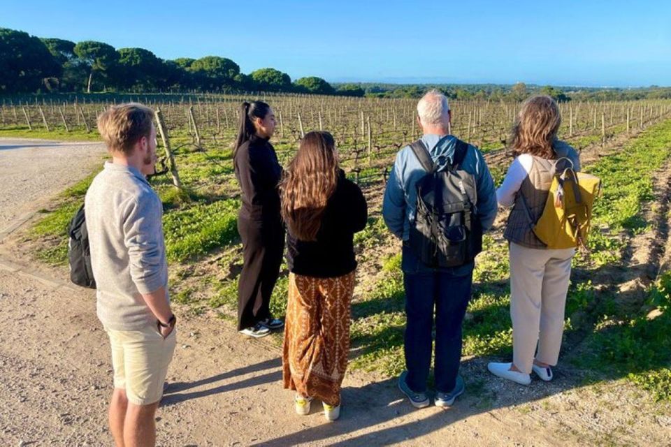 Lisbon: Private All Inclusive Setúbal & Arrábida Wine Tour - Jose Maria da Fonseca: tasting with a museum stop