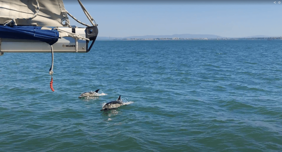 Lisbon: Private Boutique Boat Tour – Sail in Style - MAAT and the Electricity Museum, then the 25 de Abril Bridge