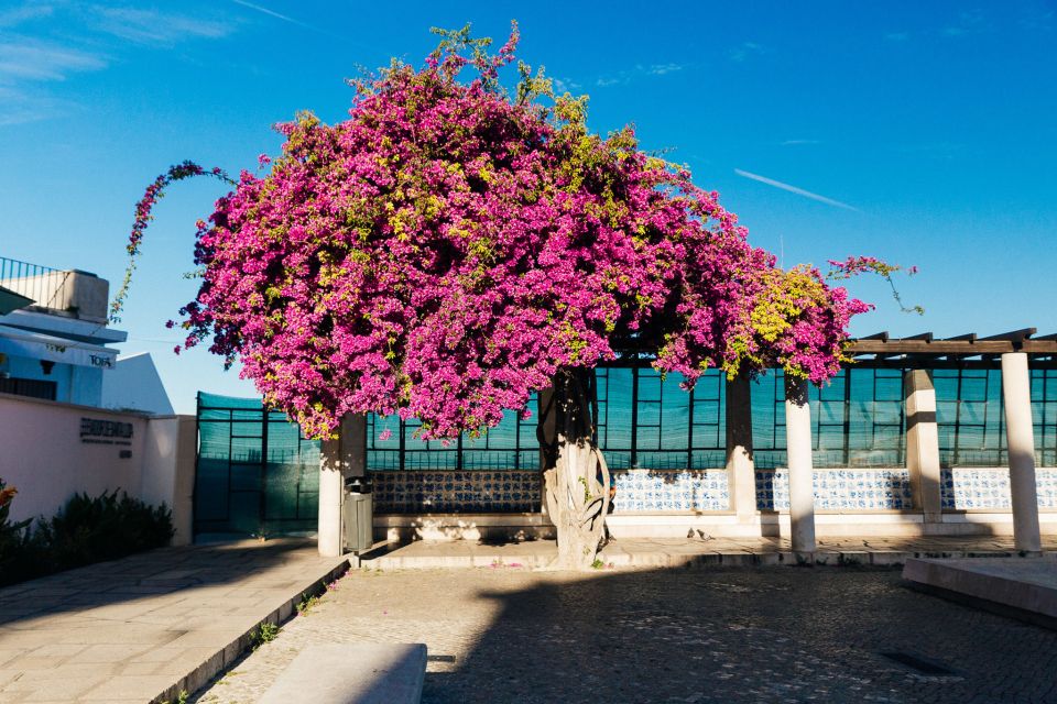 Lisbon: Private Evening Tour with Drinks & Bites in Alfama - Alfama at night: why this neighborhood is worth your first evening