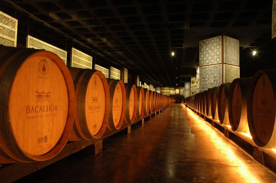 Lisbon: Private Full-Day Wine Tasting Tour in a premium car - Winery Stop One: History First, Then You Taste
