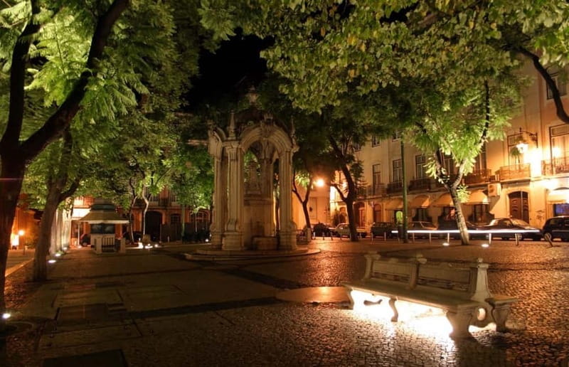 Lisbon: Private Night Tour with Fado Dinner Show - Timing, Group Size, and Guide Language: The Logistics That Matter