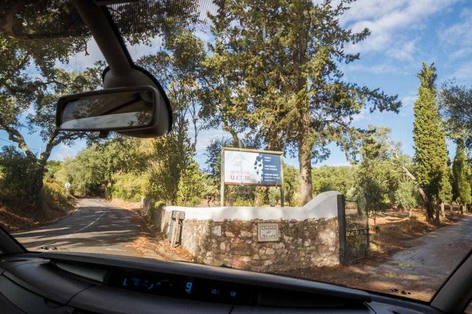Lisbon Private Setúbal Region Wine Tasting Tour - Setúbal and Azeitão: why this wine day feels special from Lisbon