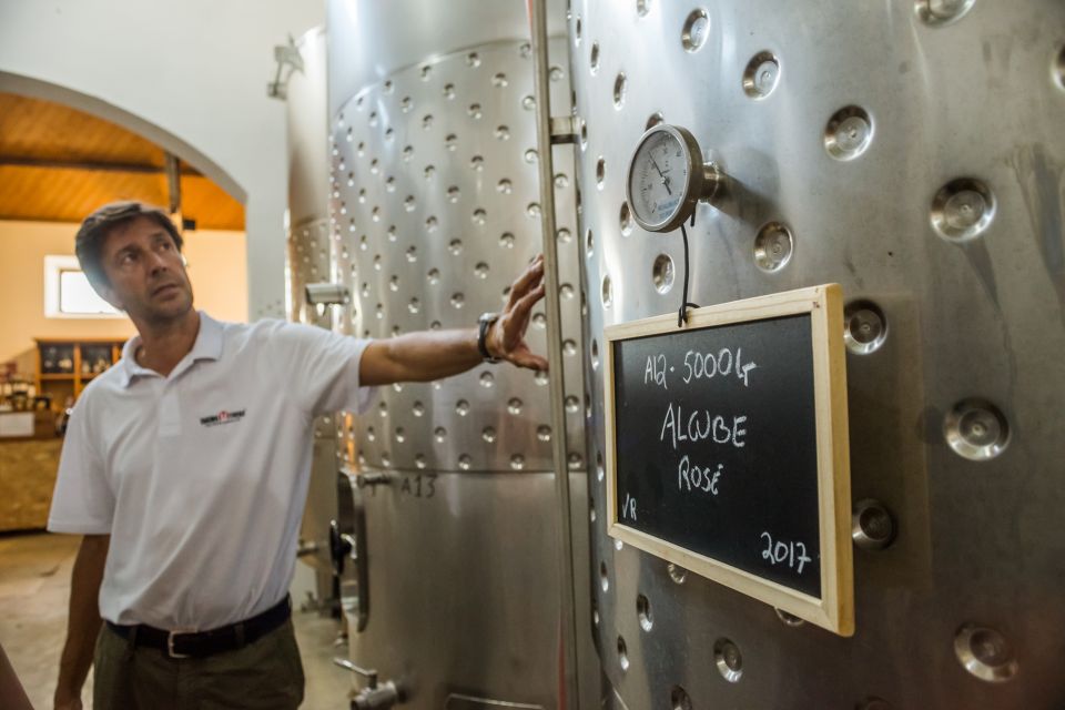 Lisbon Private Setúbal Region Wine Tasting Tour - Should you book it? My honest recommendation
