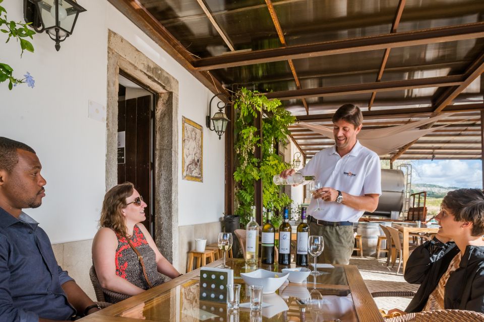 Lisbon Private Setúbal Region Wine Tasting Tour - Your choice: 3 wineries with cheese snacks vs 2 wineries with lunch in Palmela