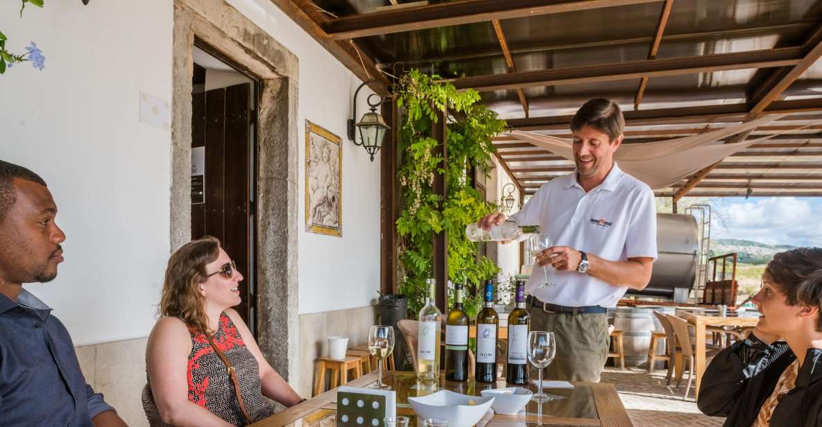 Lisbon Private Setúbal Region Wine Tasting Tour - Quinta do Alcube, Adega Assis Lobo, and the Setúbal Mother House