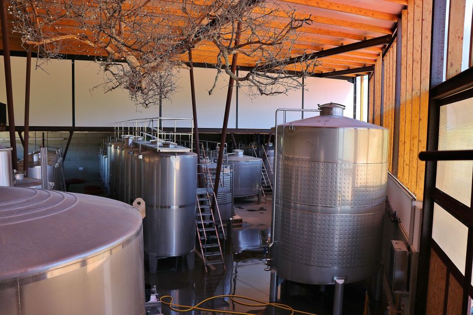 Lisbon Private Setúbal Region Wine Tasting Tour - Arrábida Natural Park views: bring your camera and plan for weather