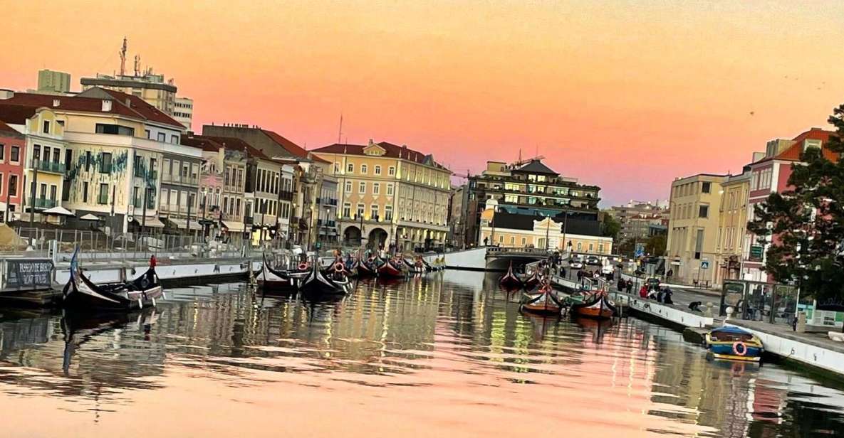 Lisbon: Private Transfer to Porto with stops until 3 cities - Coimbra: University of Portugal, Baroque Library, and Royal Palace