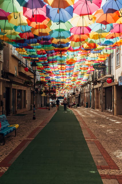 Lisbon: Private TukTuk Tour - Logistics that can affect your day