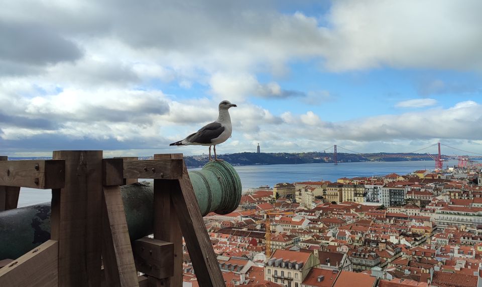 Lisbon: Saint George's Castle Entry Ticket and Guided Visit - The Best Part: Lisbon and the Tagus From the Walls