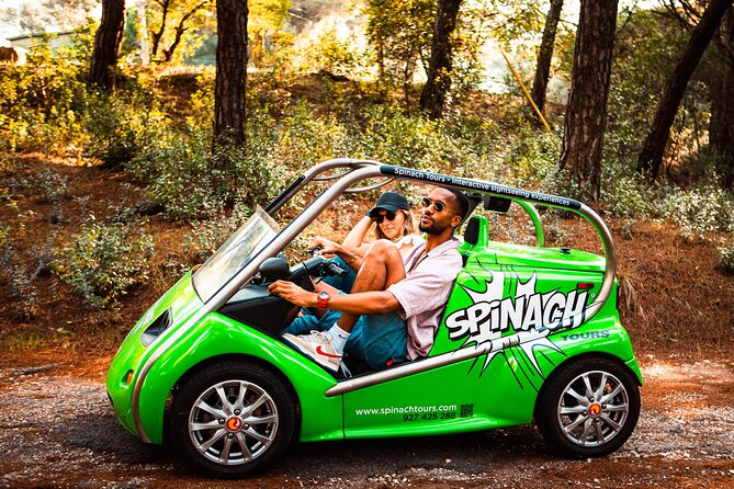 Lisbon Self-Drive Sightseeing Tour in an Electric Car - Amália Rodrigues Museum and the cultural stops that add depth