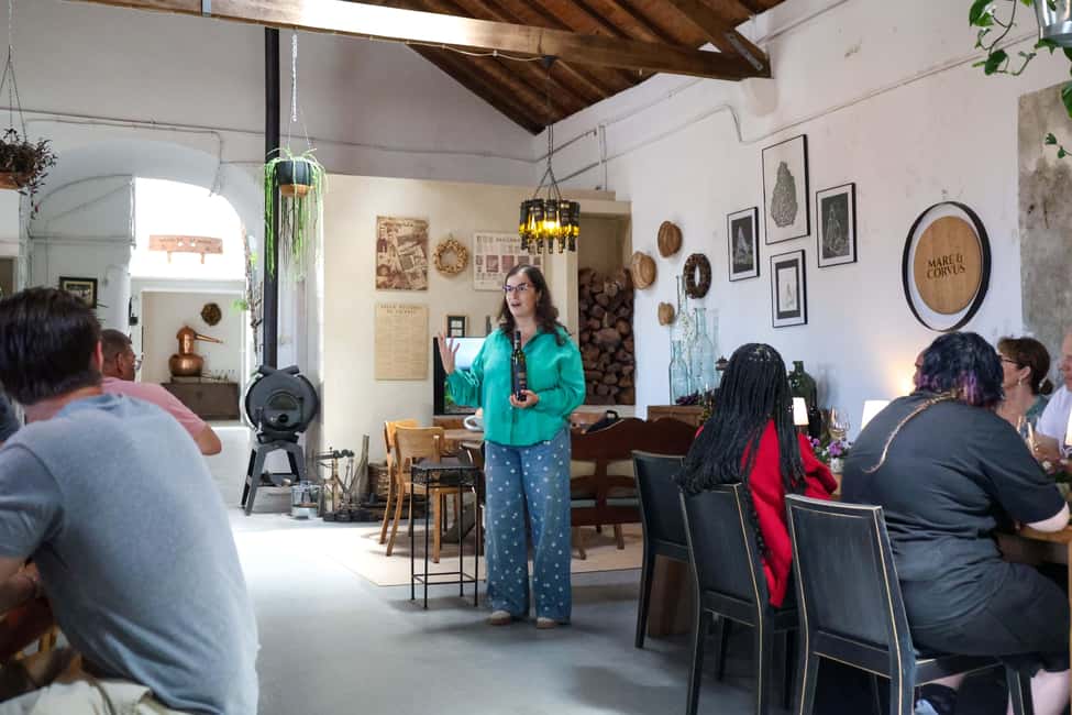 Lisbon: Sintra, Coast and Wine Small-Group Day Tour - Pena Palace and Pena Park: what you see, what you miss, and why it still works