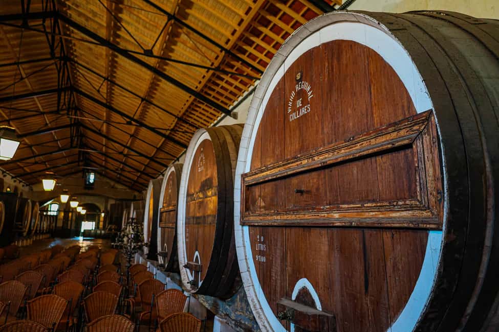 Lisbon: Sintra, Coast and Wine Small-Group Day Tour - The full-day pacing: when 9 hours feels perfect (and when it doesn’t)