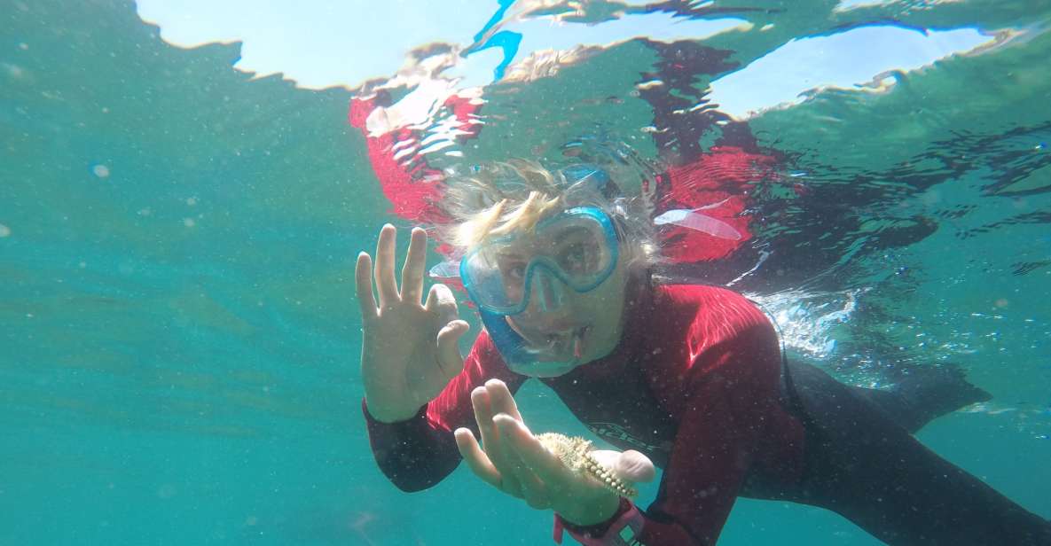 Lisbon: Snorkelling in Sesimbra/Arrábida Natural Park - Key Highlights You Should Care About