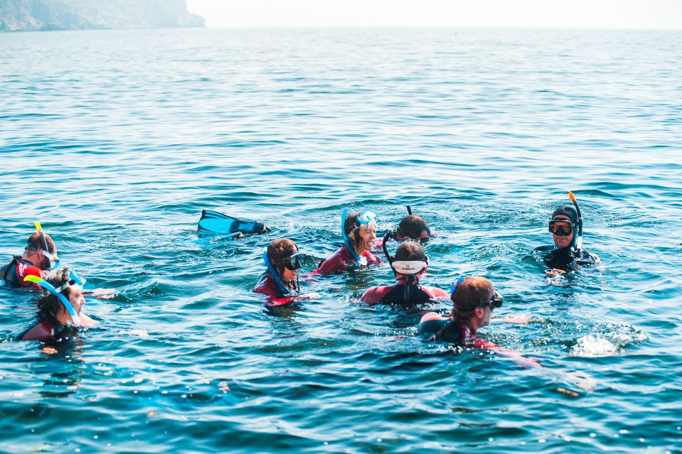 Lisbon: Snorkelling in Sesimbra/Arrábida Natural Park - Should You Book This Lisbon Sesimbra Snorkel?