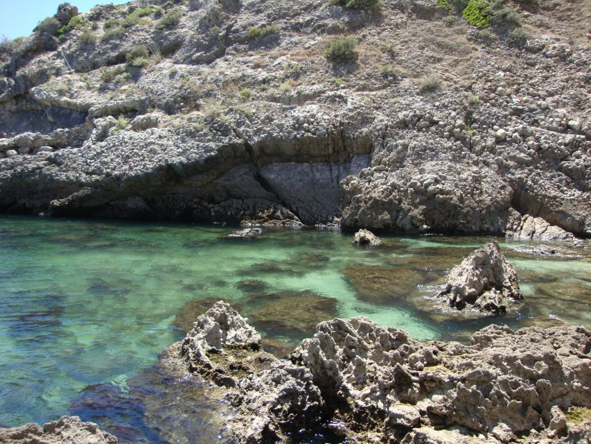 Lisbon: Snorkelling in Sesimbra/Arrábida Natural Park - What You’ll See Underwater: Fish, Crabs, Anemones, and More