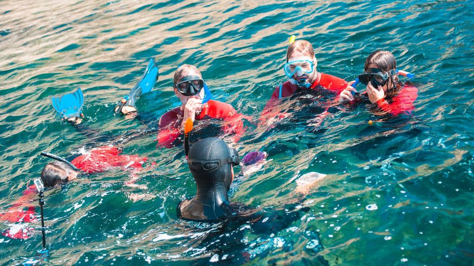 Lisbon: Snorkelling in Sesimbra/Arrábida Natural Park - Price and Value: Is $70 Worth It?