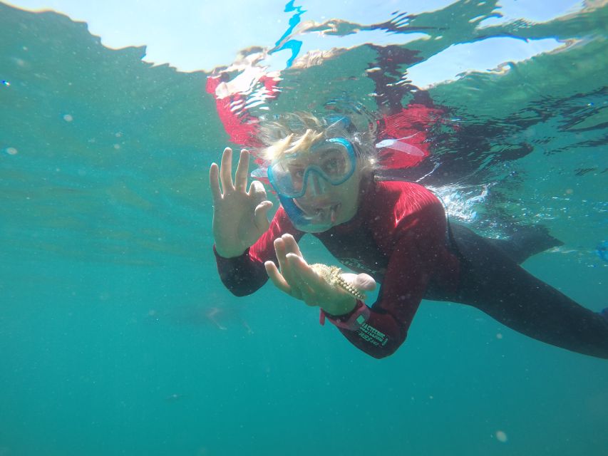 Lisbon: Snorkelling in Sesimbra/Arrábida Natural Park - From Near the Diving Centers to the Marine Park: Your 3-Hour Flow