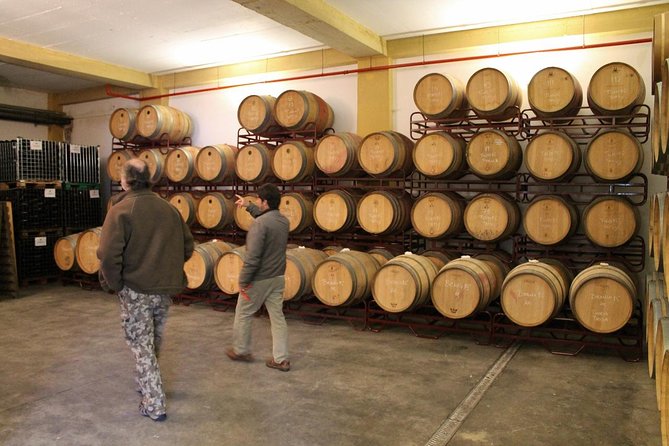 Lisbon Southern Region (Fernão Pó) Wine Tasting Private Tour - Poceirão Lunch at a Fisherman’s Family Table