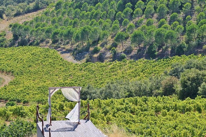 Lisbon Southern Region (Fernão Pó) Wine Tasting Private Tour - Quinta da Murta or Casa Ermelinda Freitas: Choose the Style, 8 Wines Total