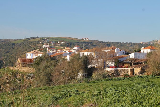 Lisbon Southern Region (Fernão Pó) Wine Tasting Private Tour - What to Pack, Timing, and How to Avoid a Wine-Day Hangover