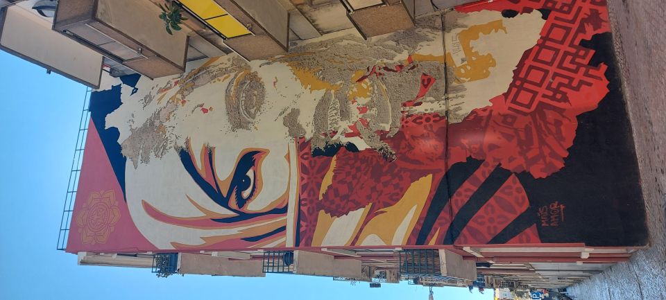 Lisbon Street Art Lovers Walk - Key highlights you’ll feel on the walk
