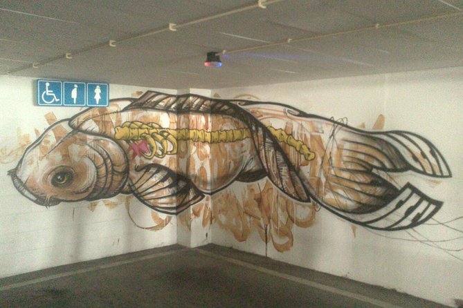 Lisbon Street Art Walking Tour - Should you book this street-art tour?