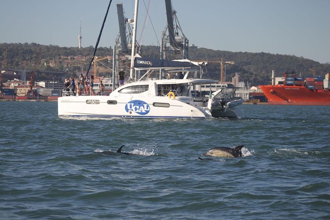 Lisbon: Sunset Cruise With Drinks on Spacious Yacht - Up the right bank to Cristo Rei: a long view with a strong silhouette